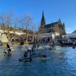 Private Transfer from Basel EuroAirport to Basel City - Summary of Practical Benefits and Considerations