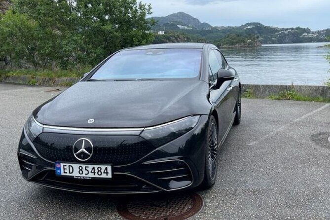 Private transfer From Bergen Airport - Hotels/Port 1-14 pax. - Who Will Benefit Most from This Service?