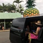 Private Transfer from Brisbane Airport to Noosa for 1 to 7 people/5 medium lugg - What To Expect on Your Journey