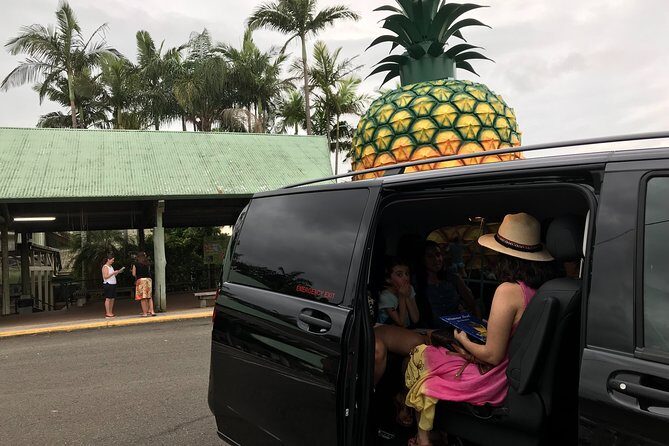 Private Transfer from Brisbane Airport to Noosa for 1 to 7 people/5 medium lugg - What To Expect on Your Journey