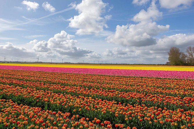 Private Transfer from Brussels to Amsterdam - FAQ