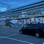Private Transfer from Civitavecchia to Rome or Fiumicino - Why Travelers Recommend This Service
