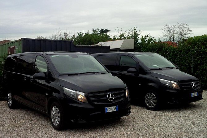 Private transfer from hotel in Venice To VCE airport - Authentic Experiences and Real Traveler Feedback