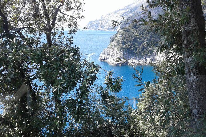Private Transfer From Naples to Ravello/Sorrento stop at Pompeii - FAQs