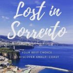 Private transfer from Rome to Sorrento with stop in Pompeii (2hours) - Why Choose This Transfer?