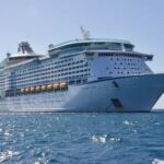 Private Transfer from Rotterdam Port to Amsterdam Airport (AMS) - Why Travelers Love This Transfer Service