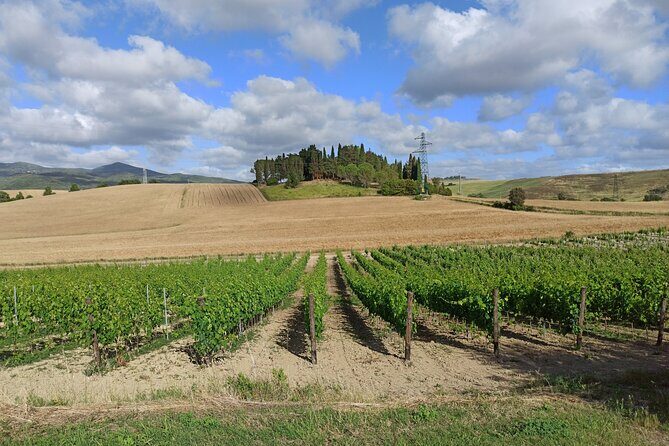 PRIVATE TRANSFER from Siena to Florence with stop in S Gimignano & Monteriggioni - A Deep Dive into Your Tuscany Journey