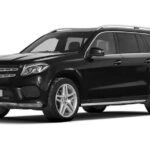 Private Transfer FROM Sydney Airport to Sydney CBD for 1 to 2 pax - Who Is This Transfer Best For?