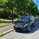 Private Transfer from / to Civitavecchia Port - Fiumicino Airport - A Closer Look at the Experience