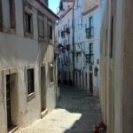 Private Transfer: Lisbon Airport to or from Lisbon Center - Final Thoughts