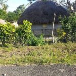 Private Transfer -Nadi Airport to Hideaway/Naviti/Warwick Hotels - Key Points
