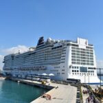 Private Transfer Rome-Civitavecchia Port or Civitavecchia-Rome - The Itinerary and What to Expect