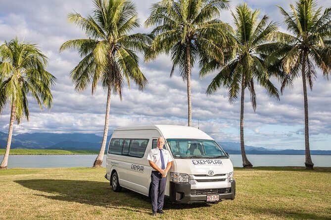 Private Transfers - Cairns Airport to Palm Cove - A Deep Dive into the Cairns to Palm Cove Transfer Experience
