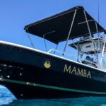 Private Trip Espiritu Santo Island - Practical Details and Value