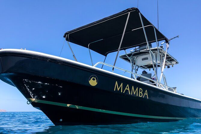 Private Trip Espiritu Santo Island - Practical Details and Value