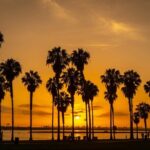 Private Trip Los Angeles, Beverly Hills, Hollywood From Anaheim - Transportation and Group Experience