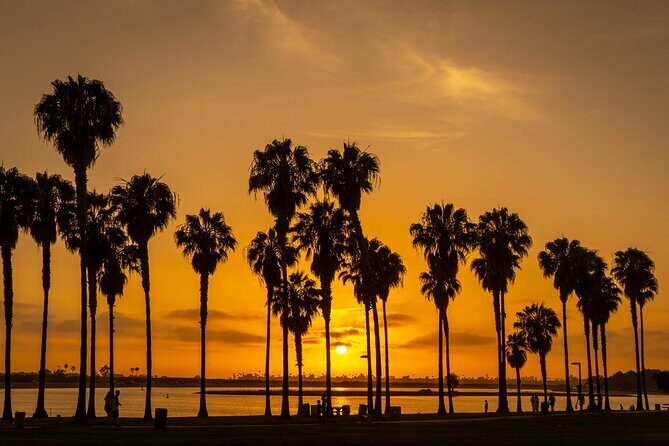 Private Trip Los Angeles, Beverly Hills, Hollywood From Anaheim - Transportation and Group Experience