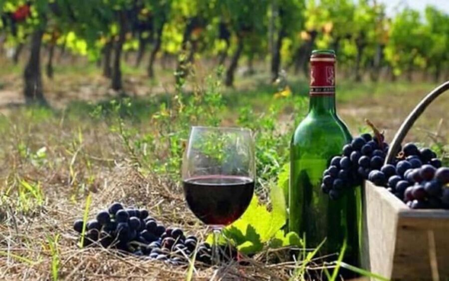 Private Trip: Tatev Ropeway-Shaki Waterfall-Wine Degustation - Value and Practical Considerations