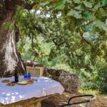 Private Trip Through the Heart of Crete, Picnic & Wine Tasting - The Sum Up: Is This Tour Right for You?