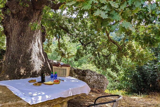 Private Trip Through the Heart of Crete, Picnic & Wine Tasting - The Sum Up: Is This Tour Right for You?