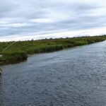 Private Trout and Char Fishing in Icelandic Serenity Experience - Pricing and Value