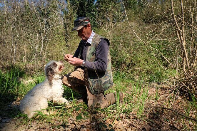 Private Truffle Hunt in Tuscany - An In-Depth Look at the Private Truffle Hunt Experience