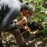 Private Truffle Hunting in Chianti from Florence - Practical Details and Considerations