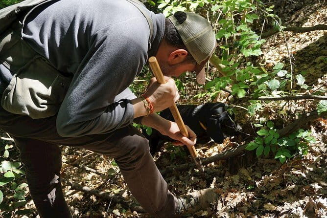 Private Truffle Hunting in Chianti from Florence - Practical Details and Considerations