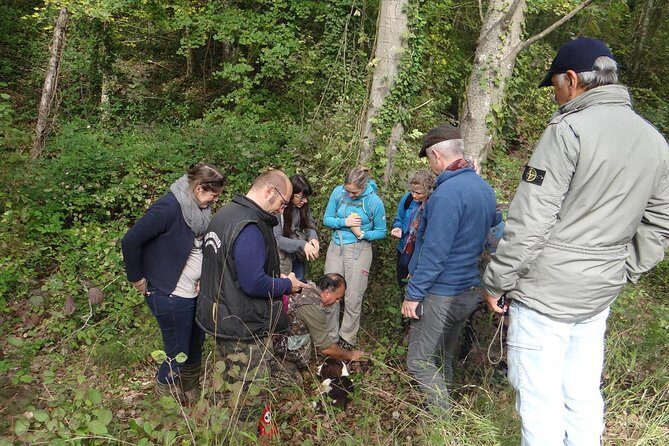 Private Truffle Hunting in Chianti - Exploring the Details: What to Expect on the Tour