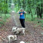 Private TruffleHunting Tour from Belgrade  Lunch with Wine - Why This Tour Is Worth Considering