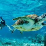 Private Tulum Mayan Ruins & Swimming with Turtles Experience - Final Words