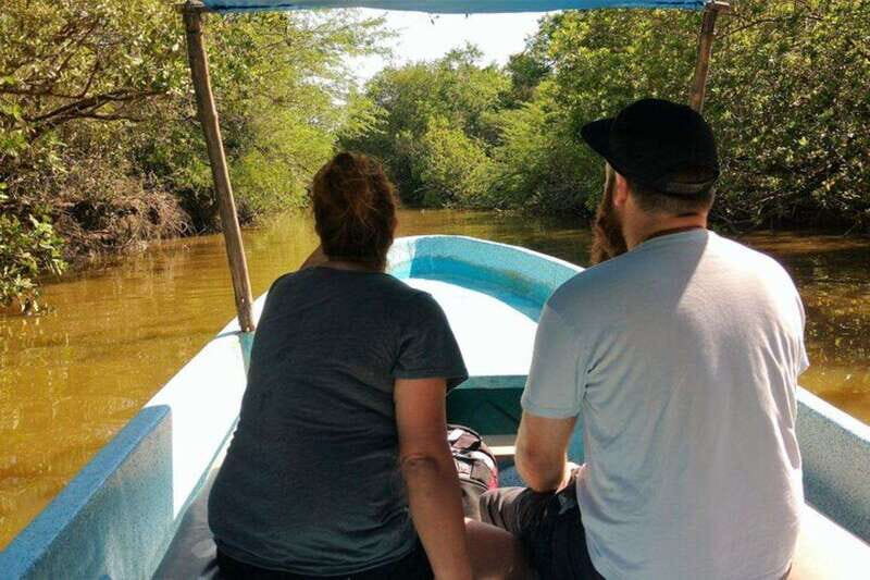 -Private Turtle Release Lagoon Boat Ride &High Divers Exprce - Analyzing the Value