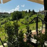 Private Tuscan Lunch with Wine & Evo oil tasting in the Vineyard - FAQs