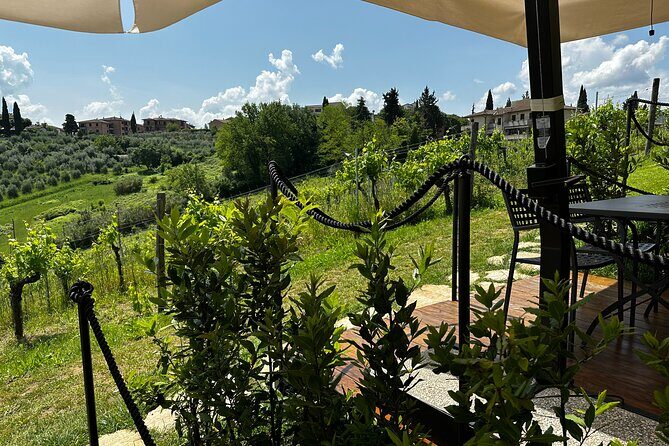 Private Tuscan Lunch with Wine & Evo oil tasting in the Vineyard - FAQs