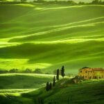 Private: Tuscany Day Tour from Rome with Optional Wine Tasting - In-Depth Look at the Tuscany Day Tour from Rome
