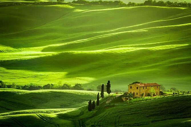 Private: Tuscany Day Tour from Rome with Optional Wine Tasting - In-Depth Look at the Tuscany Day Tour from Rome
