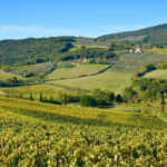 Private Tuscany Day Tour: Siena and Chianti Wine Region from Florence - Who Would Love This Tour?