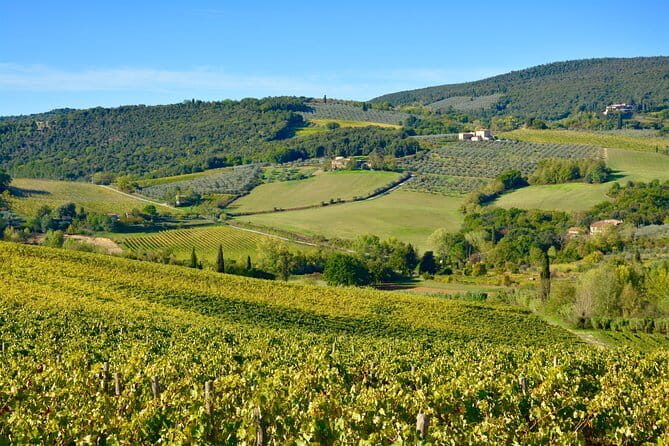 Private Tuscany Day Tour: Siena and Chianti Wine Region from Florence - Who Would Love This Tour?