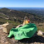 Private Typical Portuguese Picnic in Serra de Monchique - What to Expect During the Experience