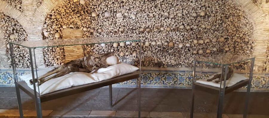 Private Unforgetable Full Day Tour in Évora - From Évora to the Alentejo Wine Region