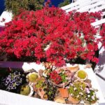 Private Unseen Authentic Santorini Half Day Shore Excursion - What the Tour Includes and What to Expect