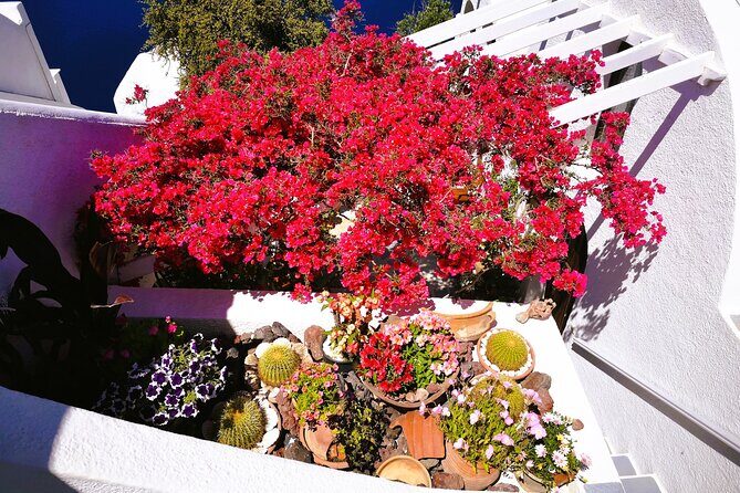 Private Unseen Authentic Santorini Half Day Shore Excursion - What the Tour Includes and What to Expect
