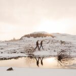 Private Vacation Photography Session with Local Photographer in Reykjavik - Frequently Asked Questions