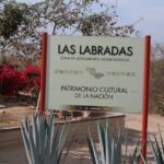 Private Van and Bilingual Local Driver - Authenticity and Local Insights