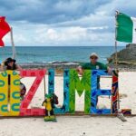 Private Van Service - Drawbacks and Considerations