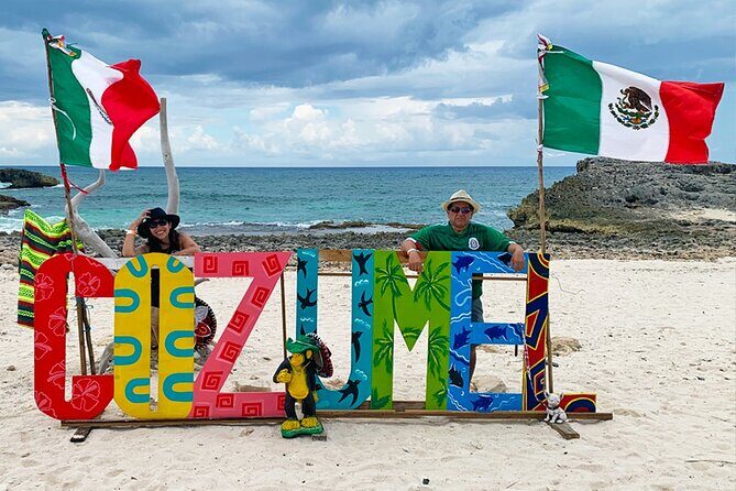 Private Van Service - Drawbacks and Considerations