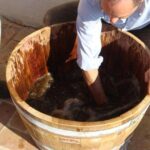 Private Vineyard Visit: Wine Tasting, Local Delicacies & Ceramics - The Value of a Private, Guided Experience