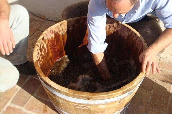 Private Vineyard Visit: Wine Tasting, Local Delicacies & Ceramics - The Value of a Private, Guided Experience