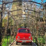 Private Vintage Fiat 500 tour in Chianti From Siena - Authenticity and Comfort: What We Loved