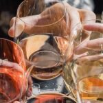 Private Vintner's Wine Tasting Experience in Colorado - An In-Depth Look at the Private Vintner’s Wine Tasting Experience
